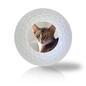 Abyssinian Cat Golf Balls