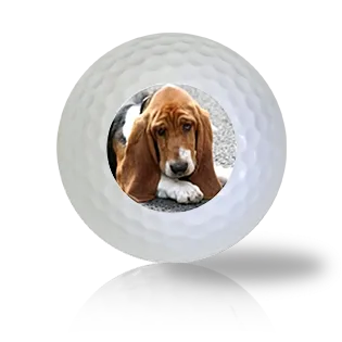 Basset Hound Golf Balls