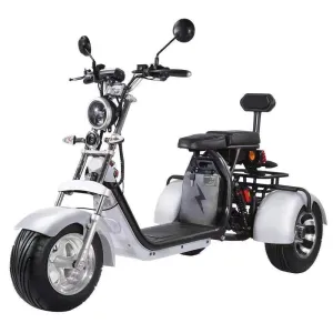 Citycoco Classic 3Wheels 18 Inch 1500w 60v 20ah Electric Mobility Scooter Trike Golf Cart Motorcycle Ebike Electric Tricycle Elderly