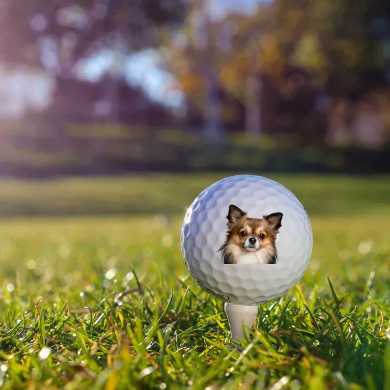 Custom Pet Golf Ball