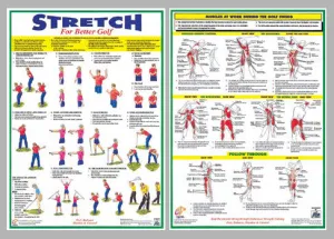 Fitness for Golf Official 2-Poster Set (Stretching and Muscle Work) - Chartex Ltd.