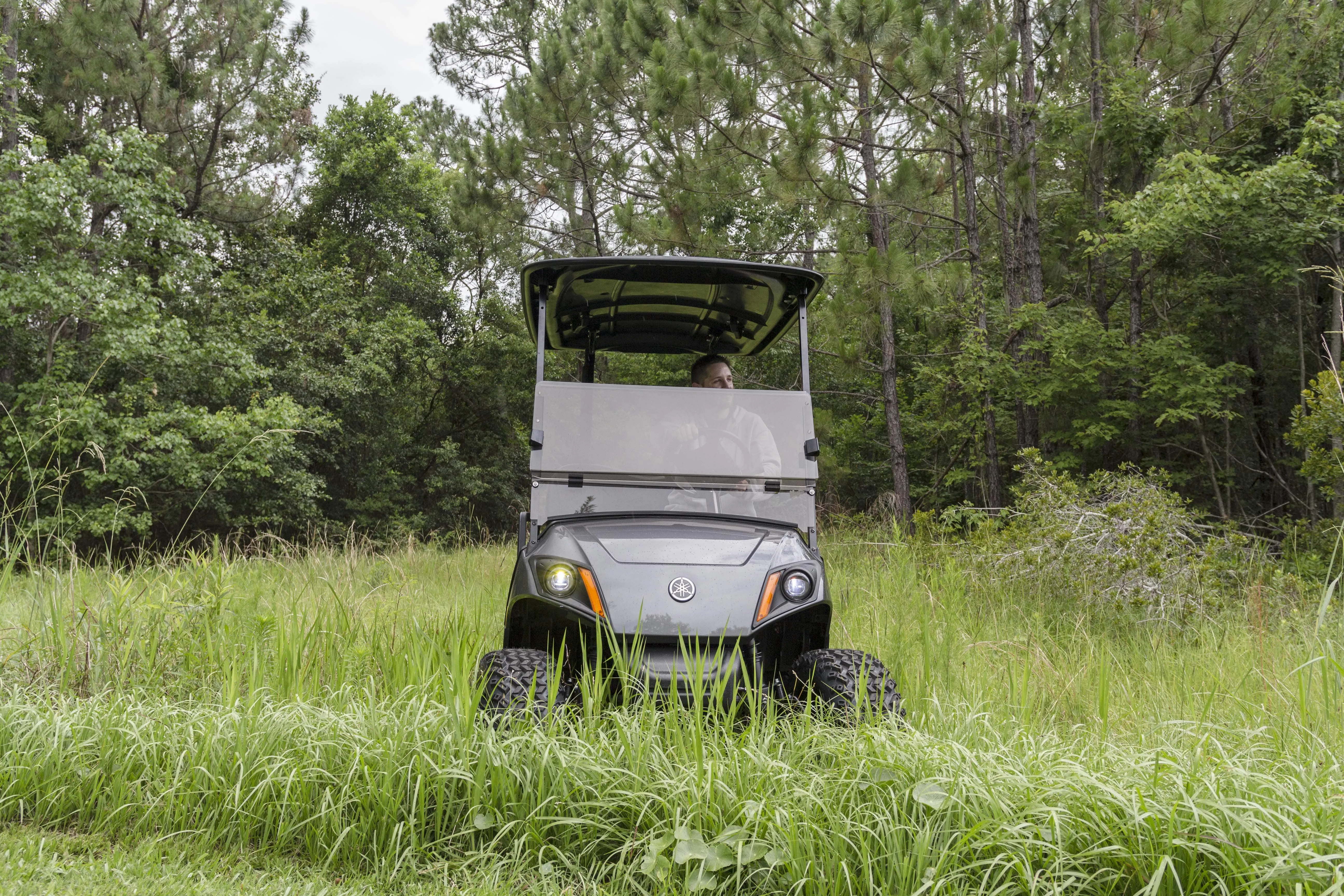 Yamaha Drive2 Tinted Folding Windshield (Years 2017-Up) | Red Dot®